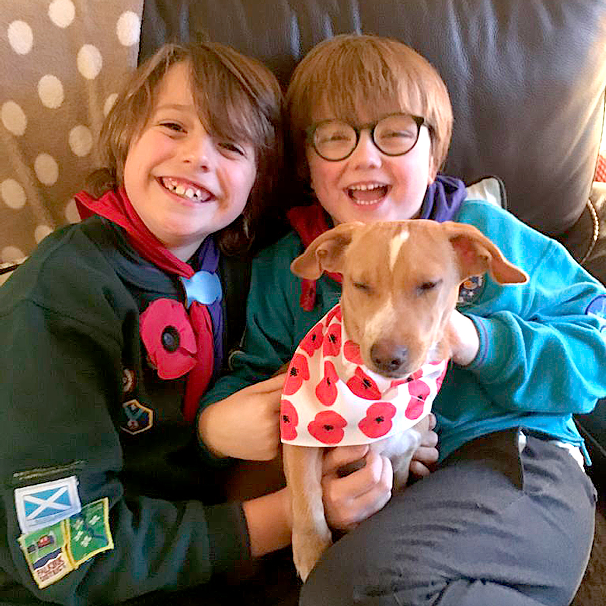 Archie and Alfie with their puppy Diego all wearing poppies
