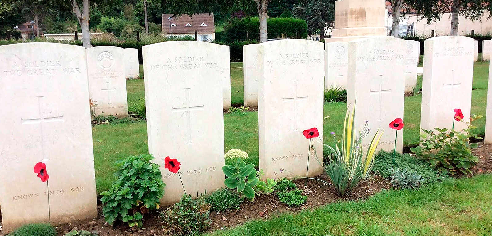 Five war graves from the Great War with a single poppy in front of each