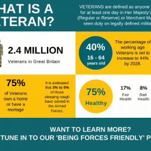 An infographic showing a snapshot of statistics about veterans such as, there are 2.4 million veterans in Britain, 75% of them have a home or a mortgage, 8% are currently in bad health