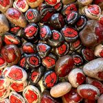 A collection of pebbles painted with remembrance messages and poppies