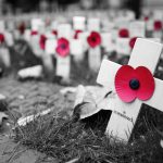 A black and white image of Remembrance crosses with poppies highlighted in red