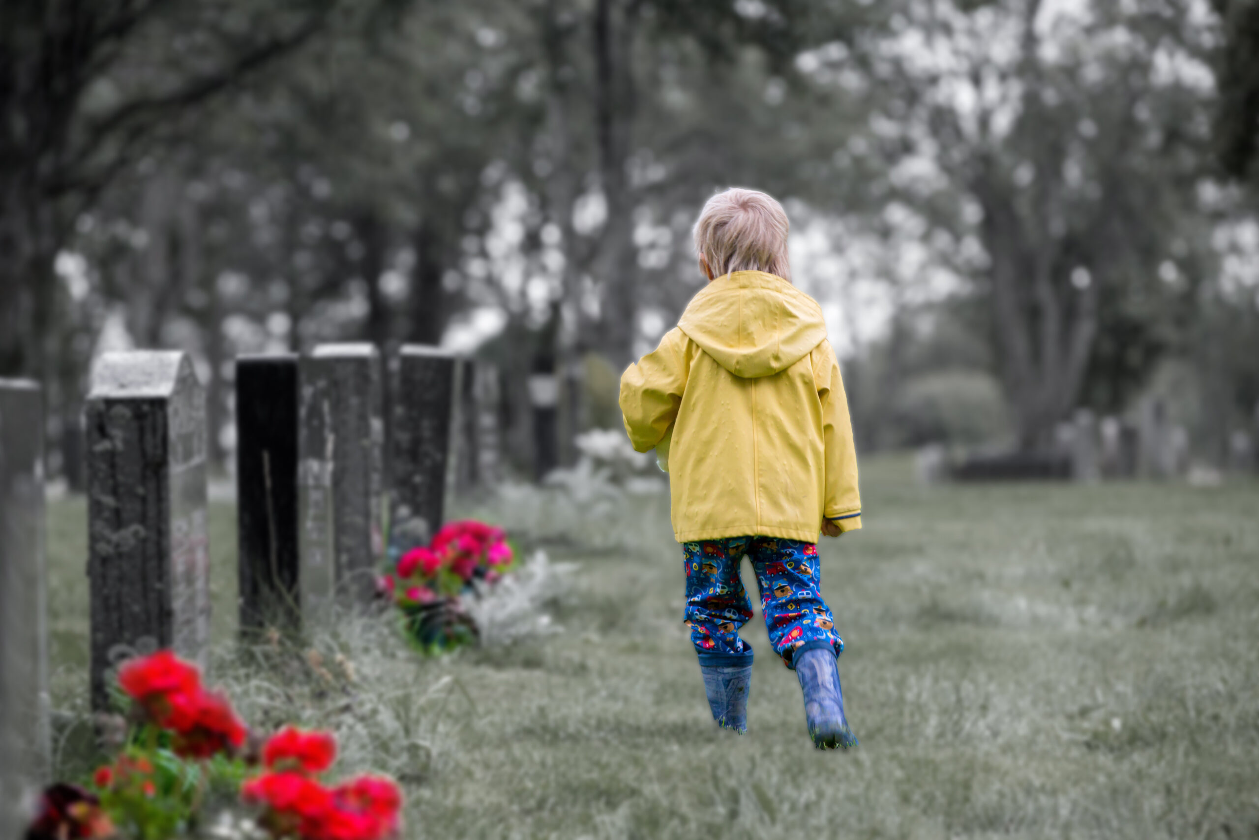 A toddler in a yellow rain jacket and wellie boots walks through a A toddler in a yellow rain jacket and wellie boots walks through a cemetary with poppies at some of the tombstones. with poppies at some of the tombstones.