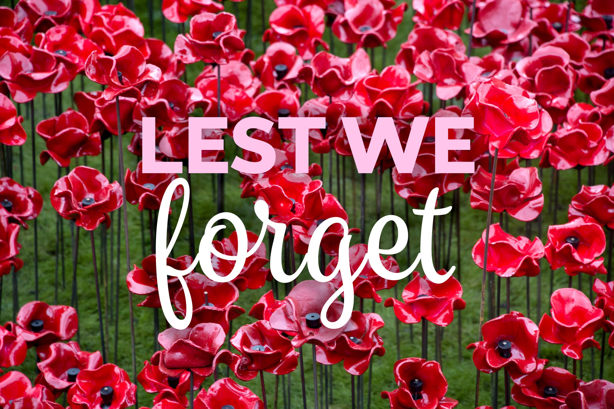 The words 'Lest we forget' over a field of ceramic poppies.